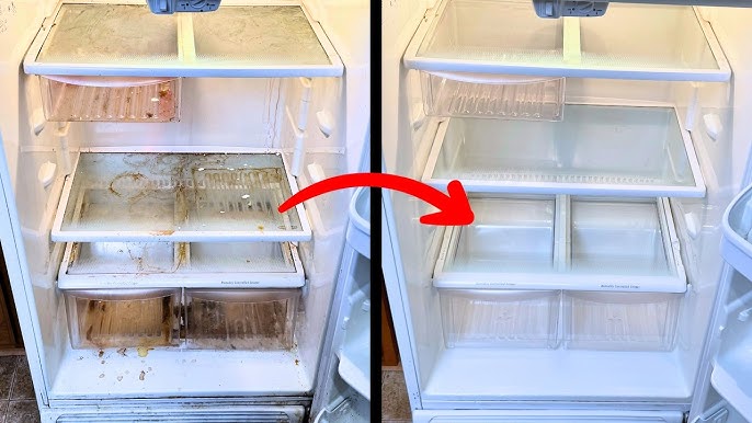 Fridge Classic Premium Cleaning Double Door